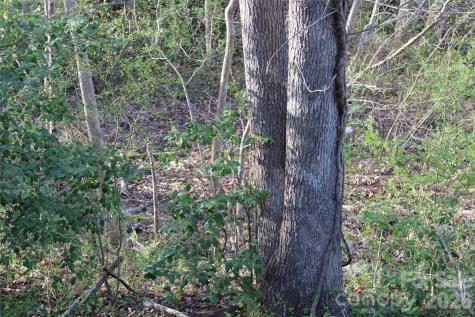 Lot 16 Lake Front Drive Catawba NC 28609