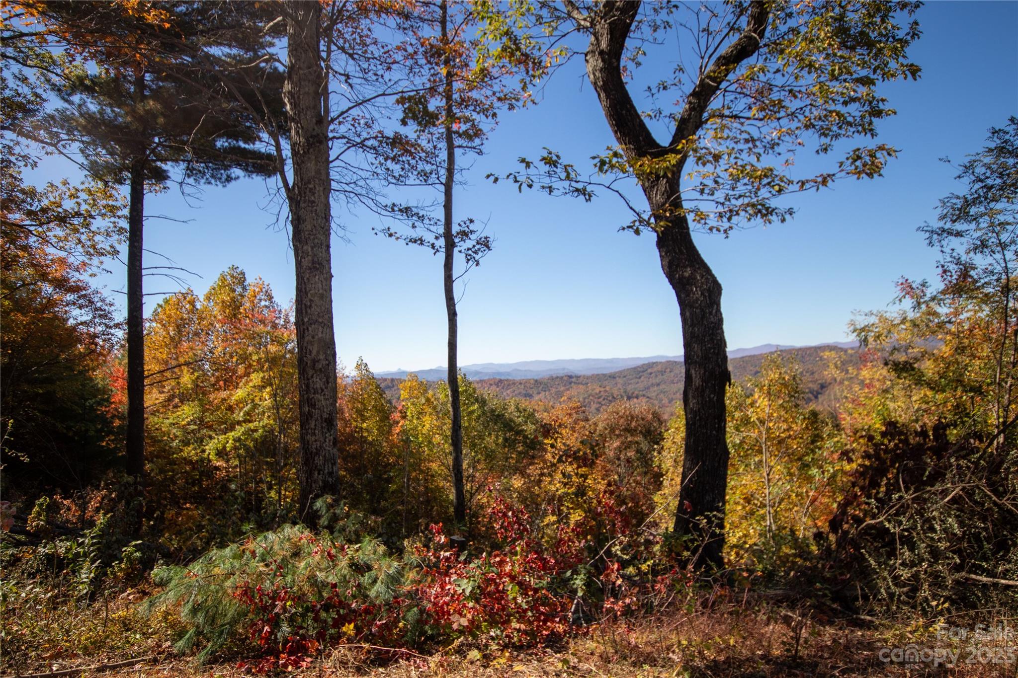 Lot# 137 Fire Crest Lane Lenoir NC 28645