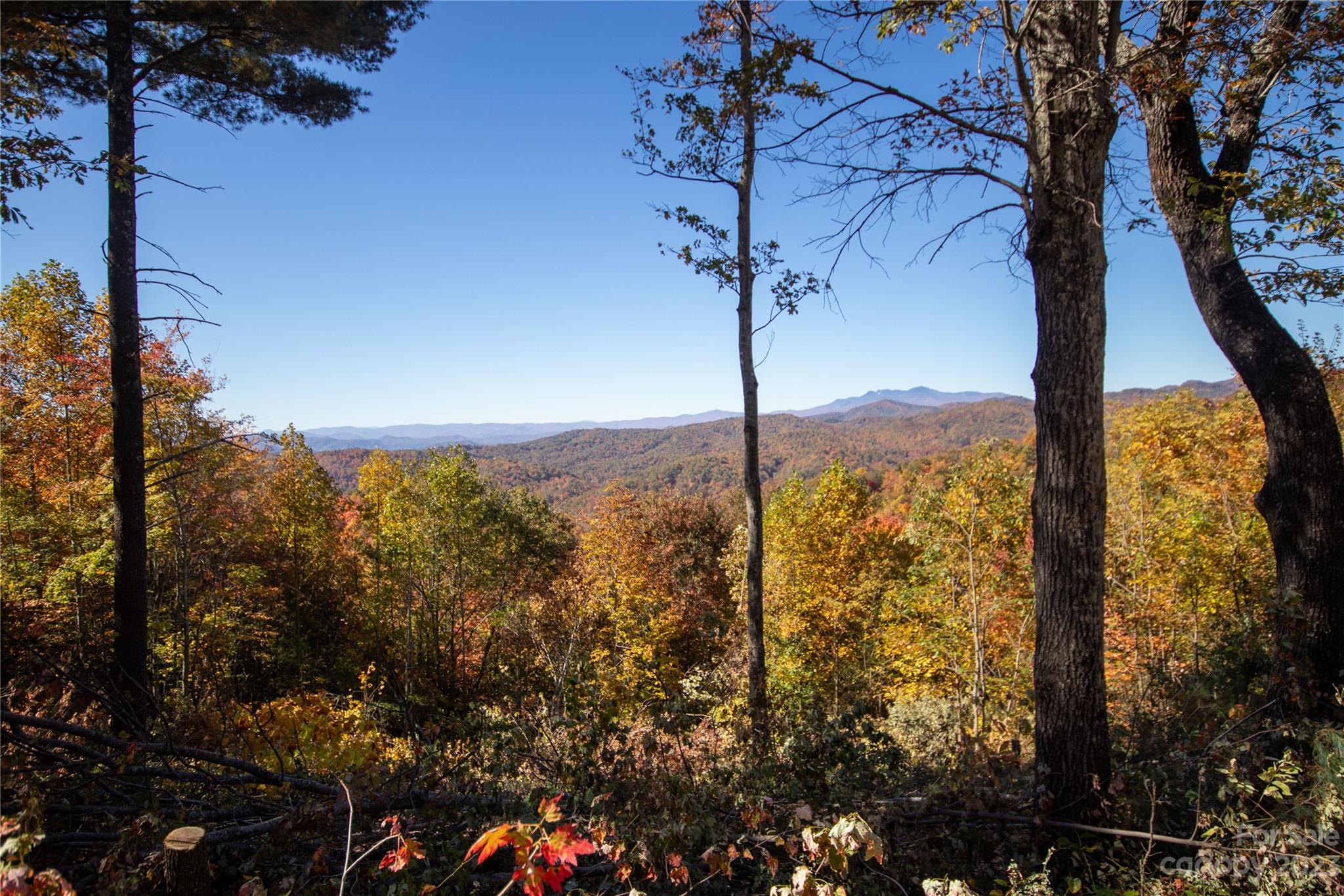 Lot# 137 Fire Crest Lane Lenoir NC 28645