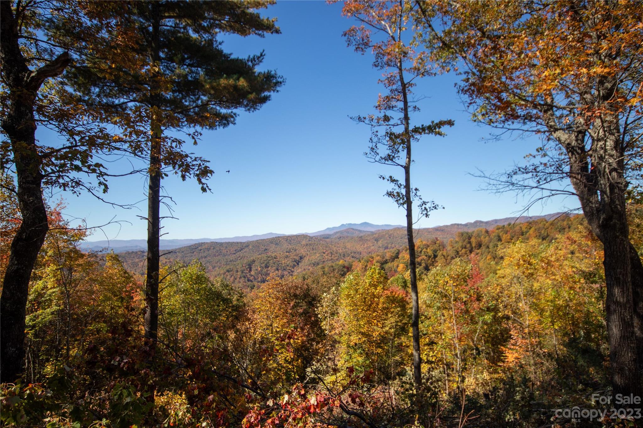 Lot# 137 Fire Crest Lane Lenoir NC 28645