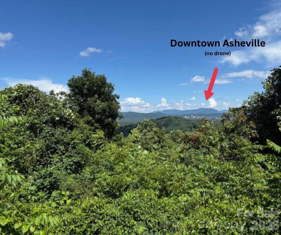 49 Ben Lippen School Road Asheville NC 28806