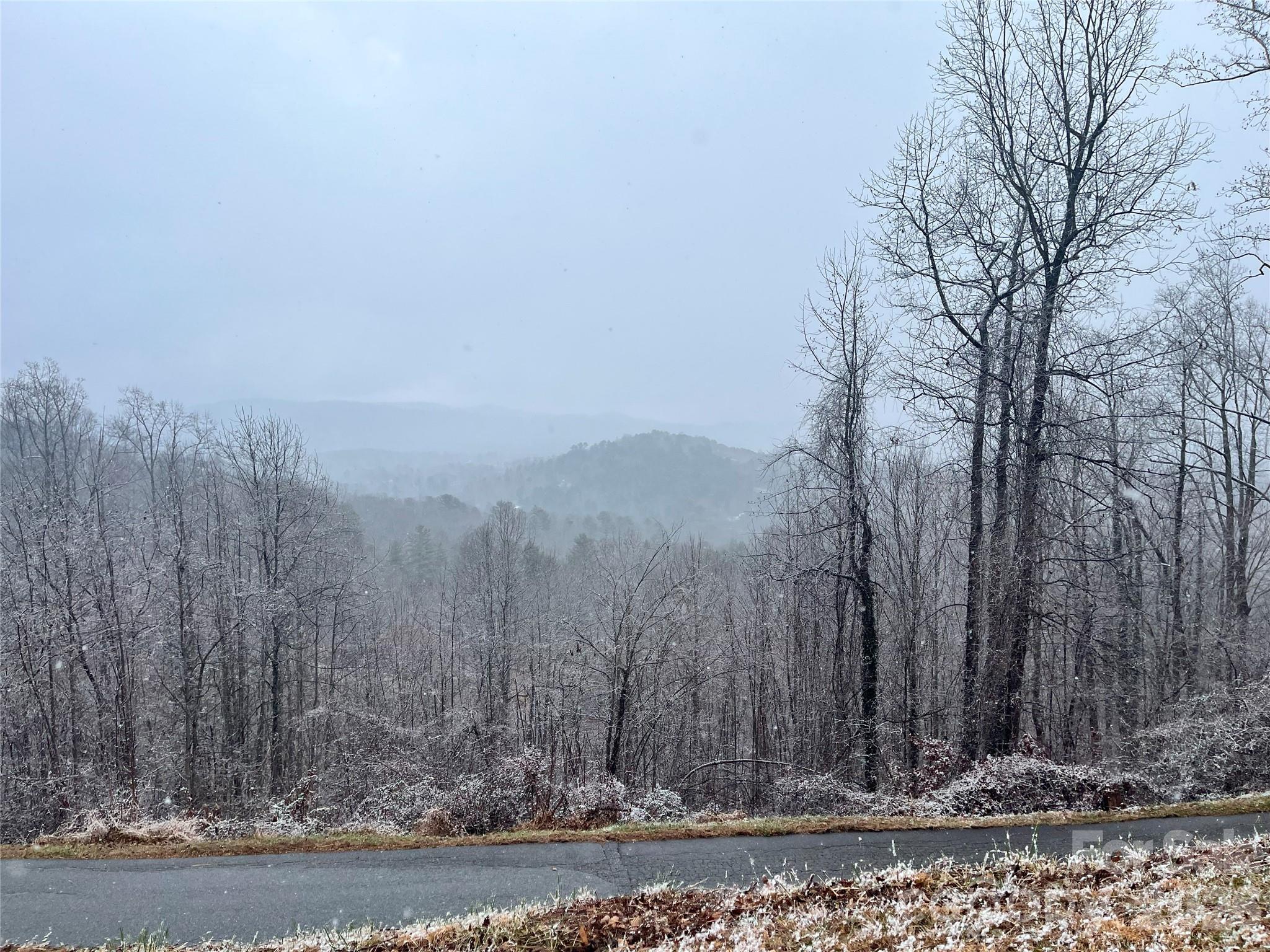 49 Ben Lippen School Road Asheville NC 28806