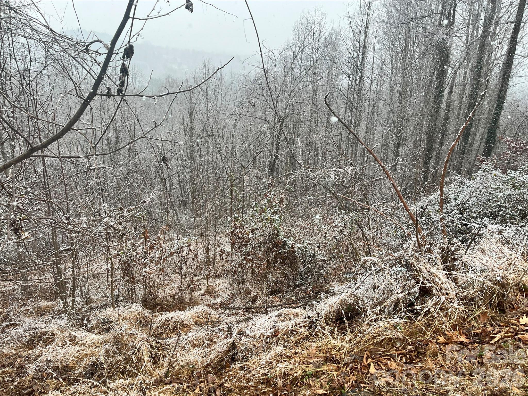 49 Ben Lippen School Road Asheville NC 28806