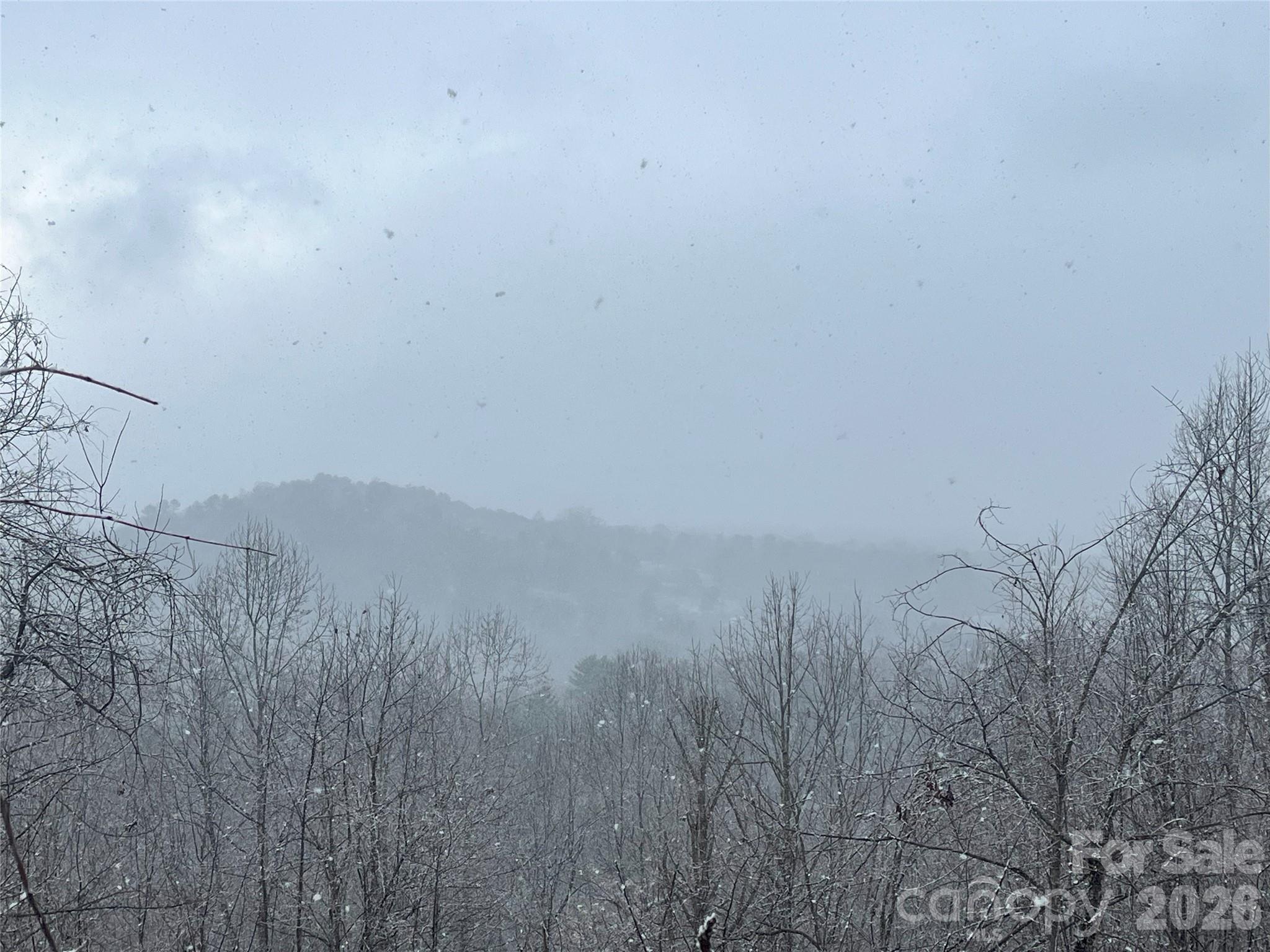 49 Ben Lippen School Road Asheville NC 28806