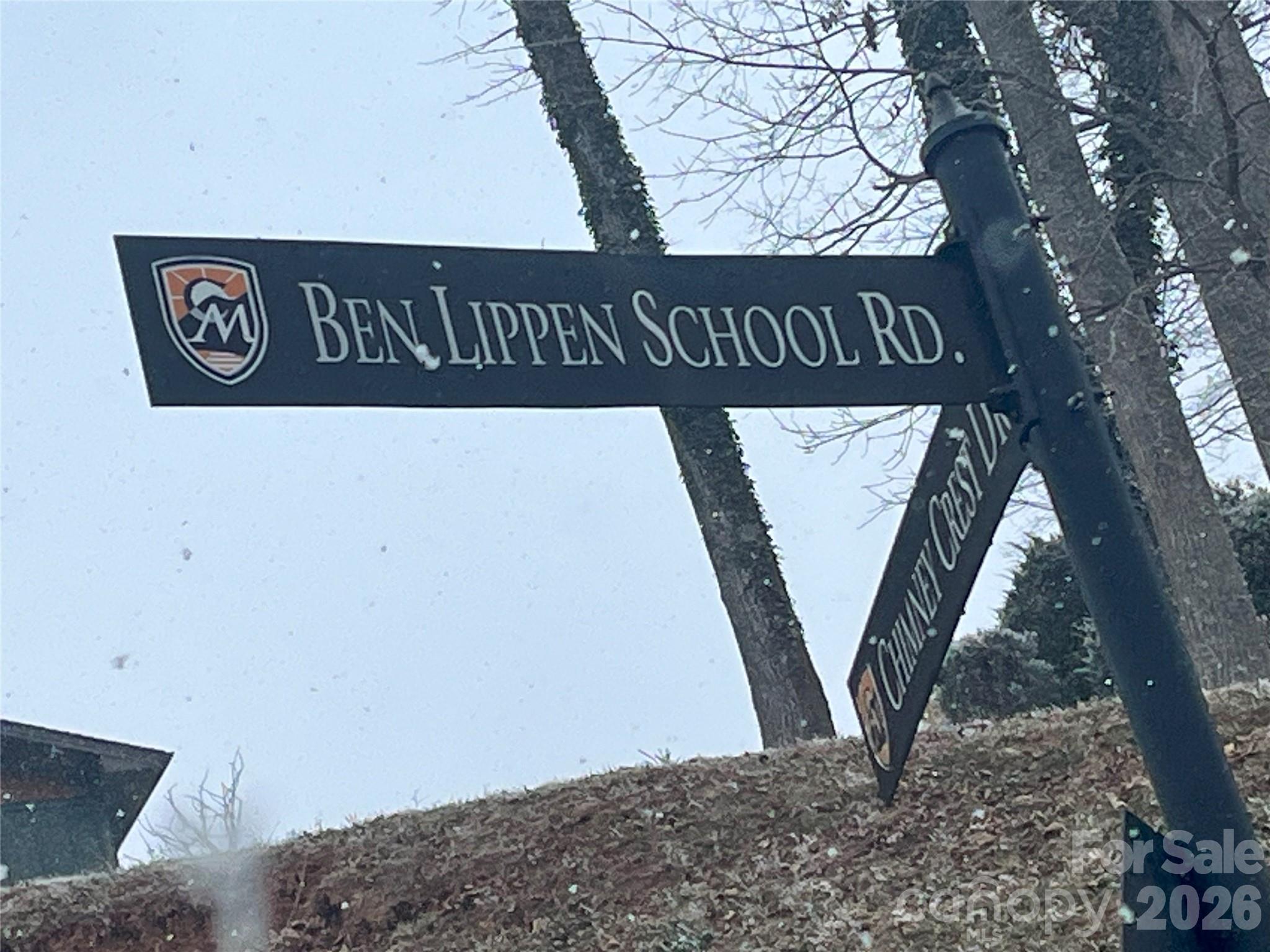 49 Ben Lippen School Road Asheville NC 28806
