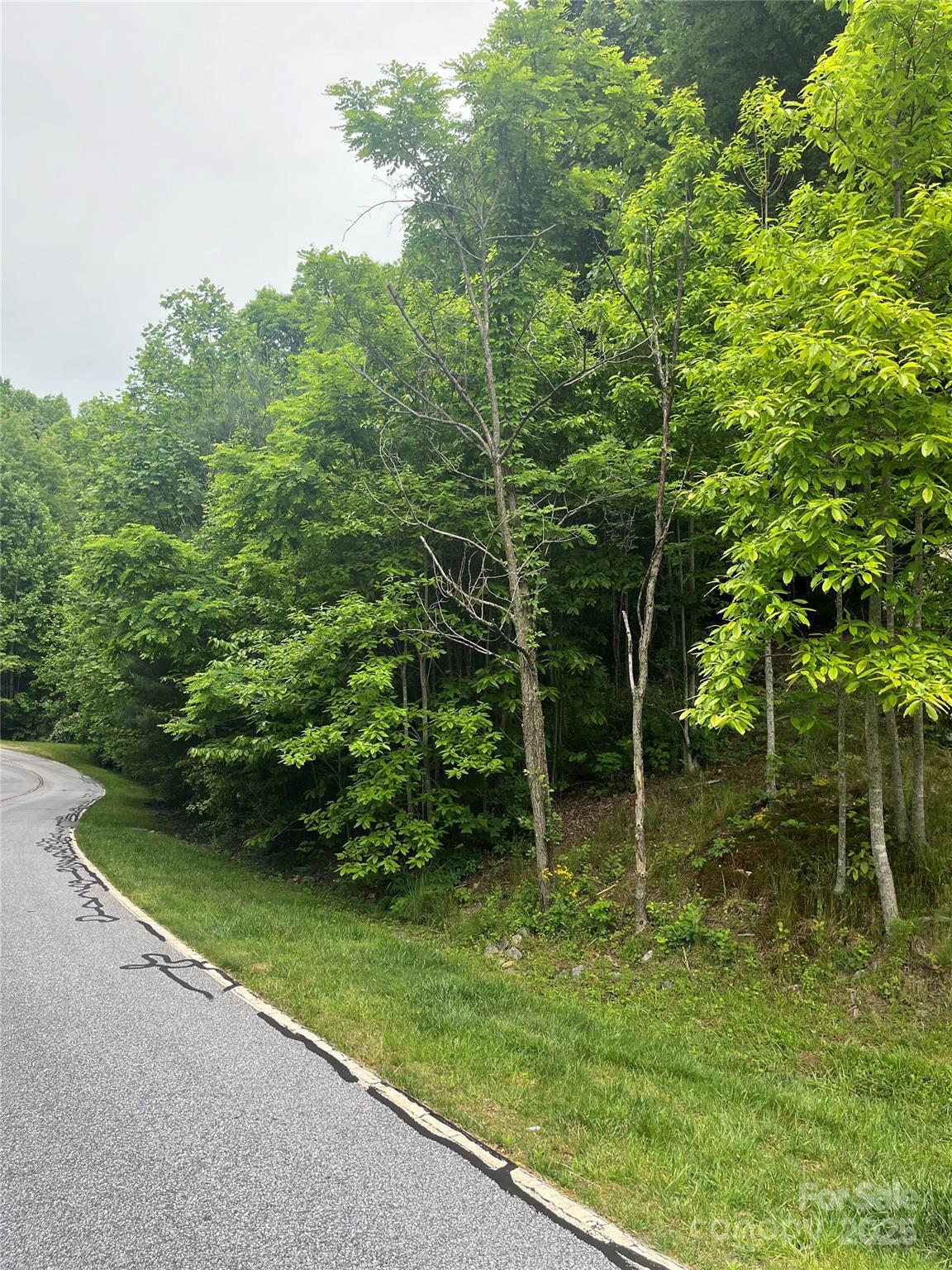 112 Pinnacle Peak Lane Flat Rock NC 28731