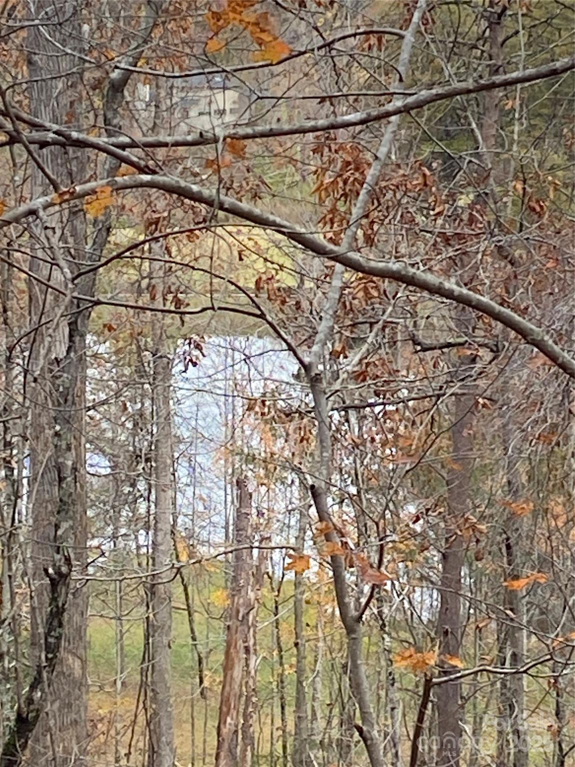 0000 Raleigh Drive Lake Lure NC 28761