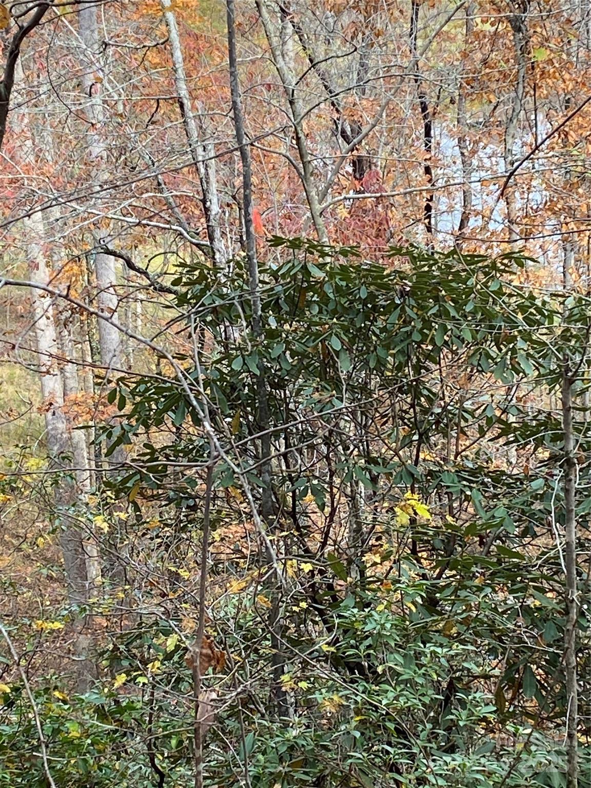 0000 Raleigh Drive Lake Lure NC 28761