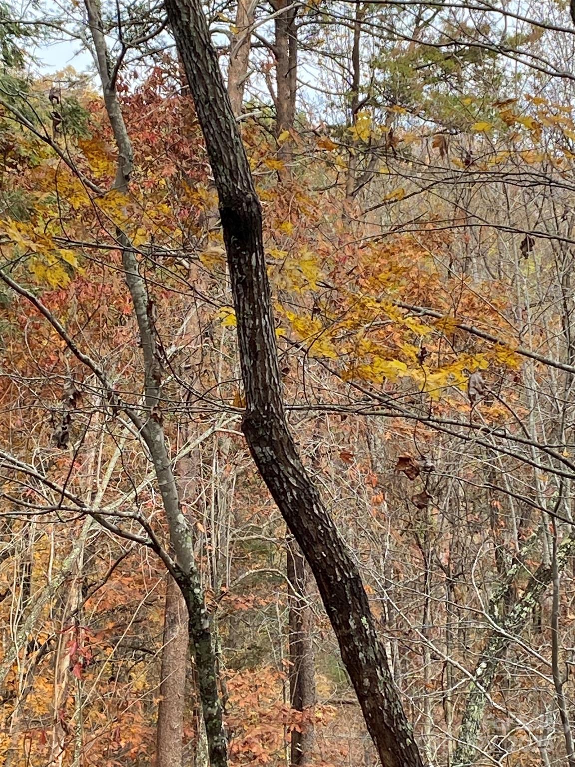 0000 Raleigh Drive Lake Lure NC 28761