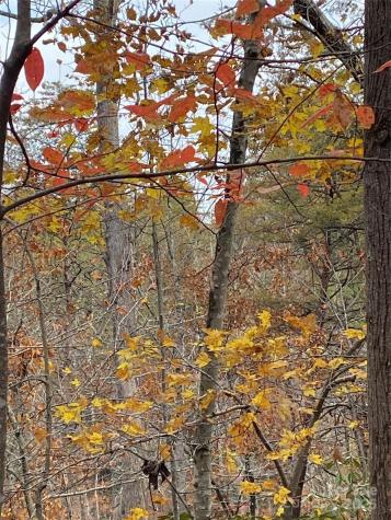 0000 Raleigh Drive Lake Lure NC 28761