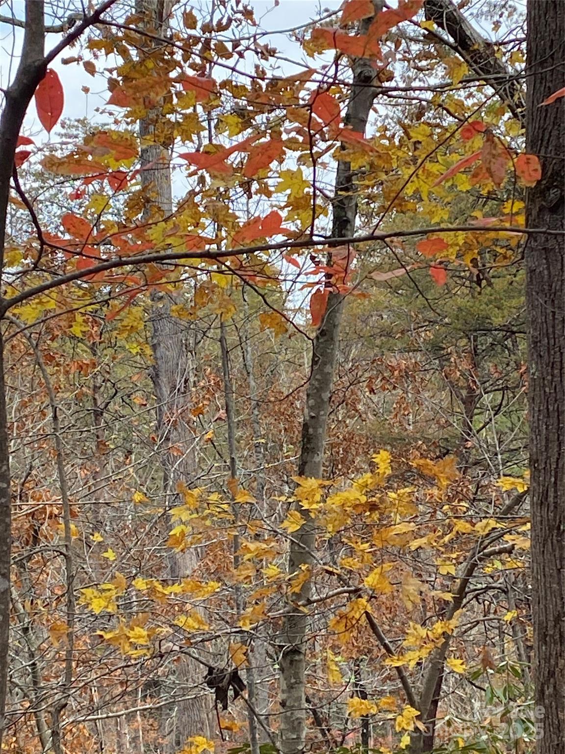 0000 Raleigh Drive Lake Lure NC 28761