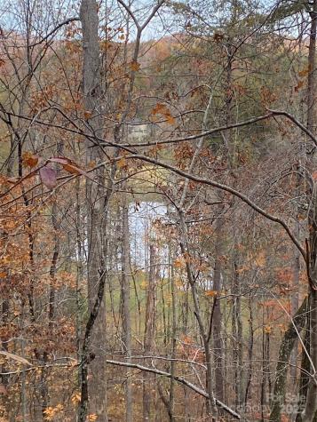 0000 Raleigh Drive Lake Lure NC 28761