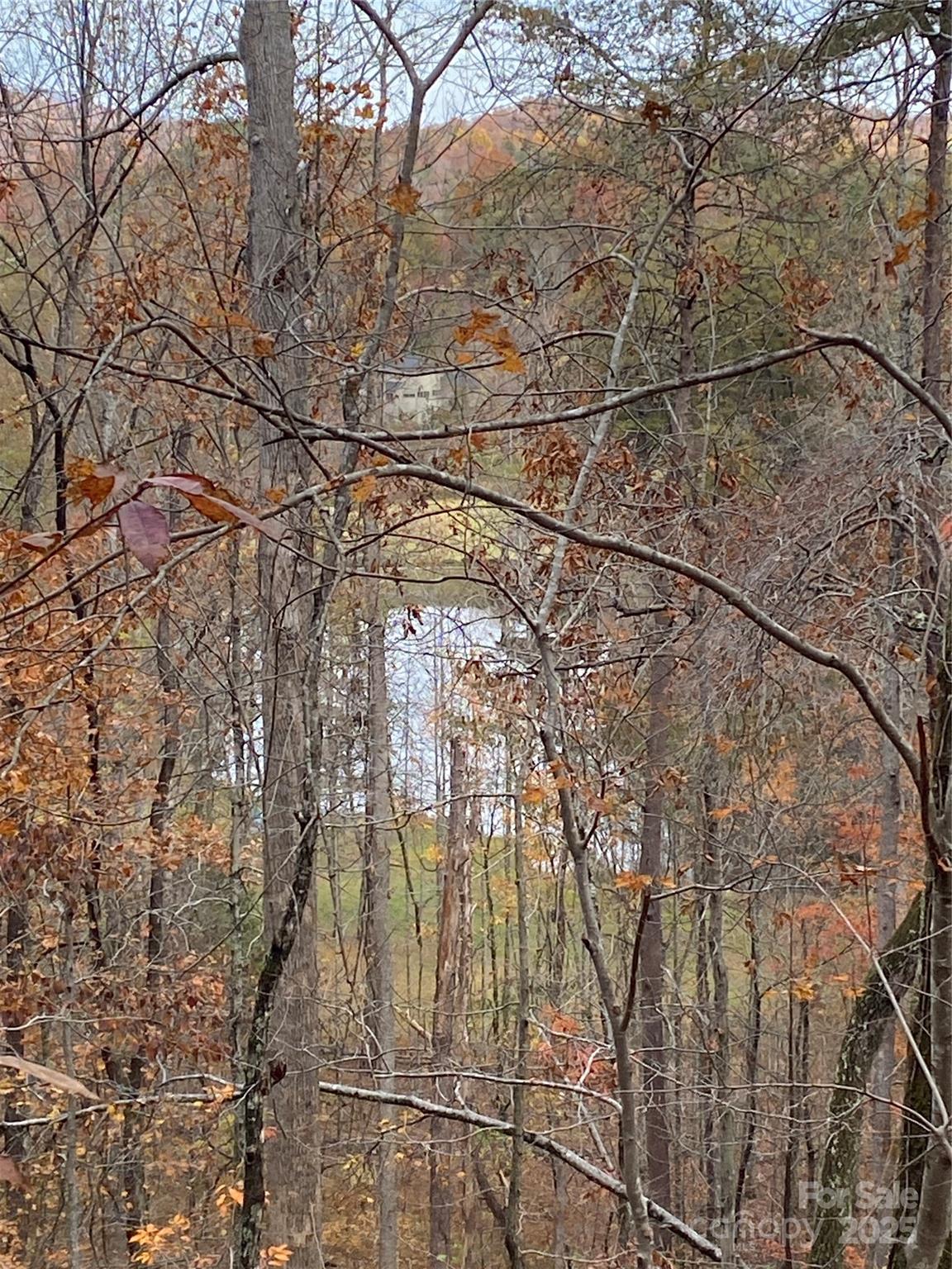 0000 Raleigh Drive Lake Lure NC 28761