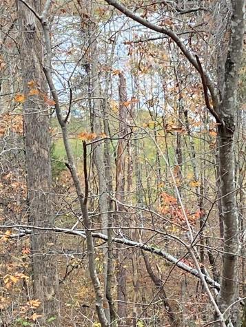 0000 Raleigh Drive Lake Lure NC 28761