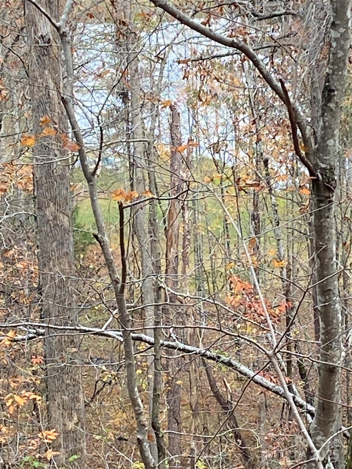 0000 Raleigh Drive Lake Lure NC 28761