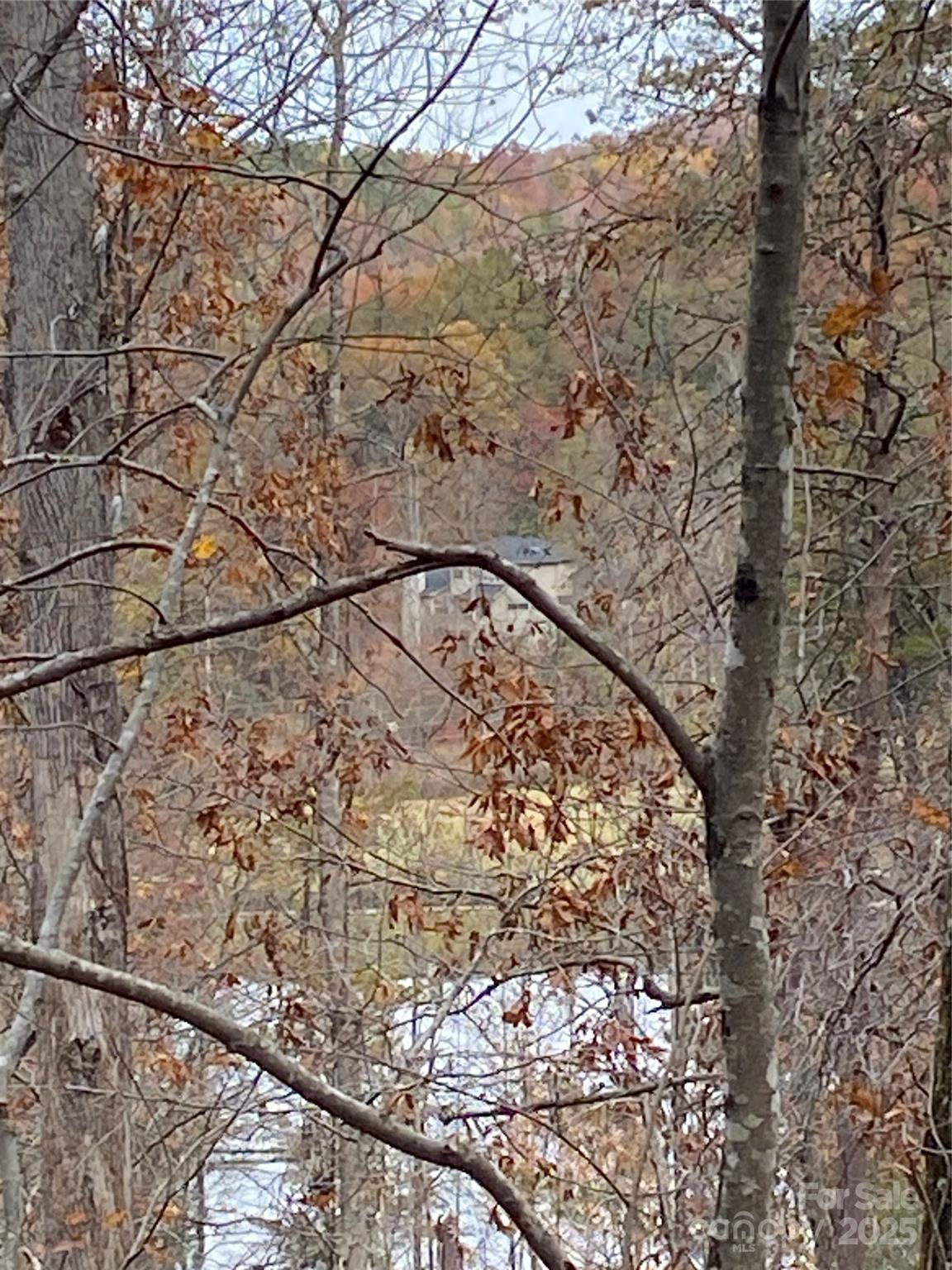 0000 Raleigh Drive Lake Lure NC 28761