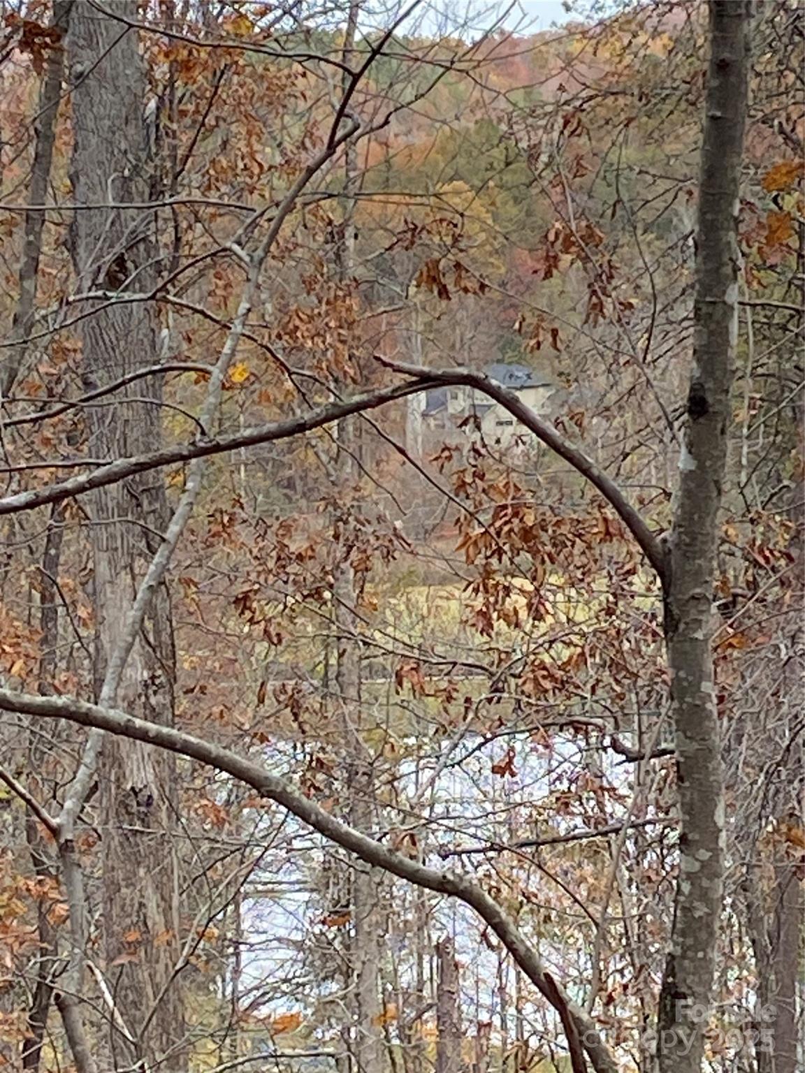 0000 Raleigh Drive Lake Lure NC 28761