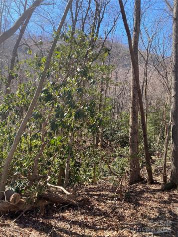 0000 Raleigh Drive Lake Lure NC 28761