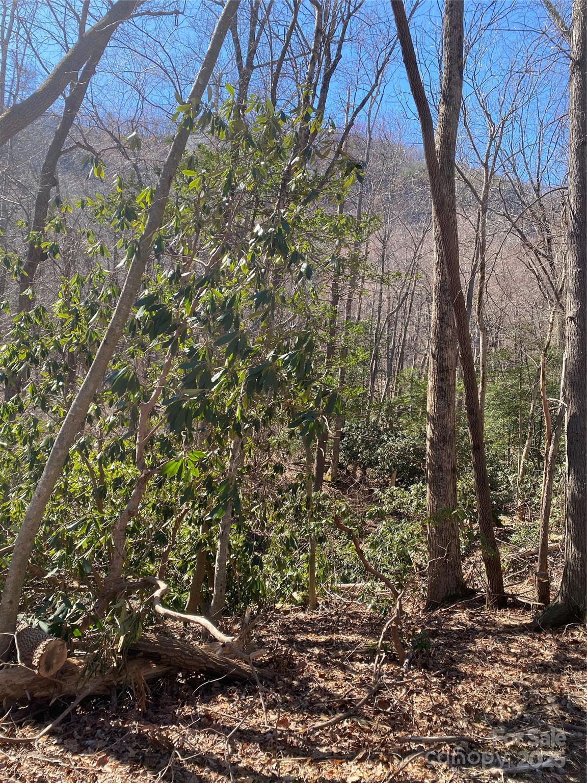 0000 Raleigh Drive Lake Lure NC 28761