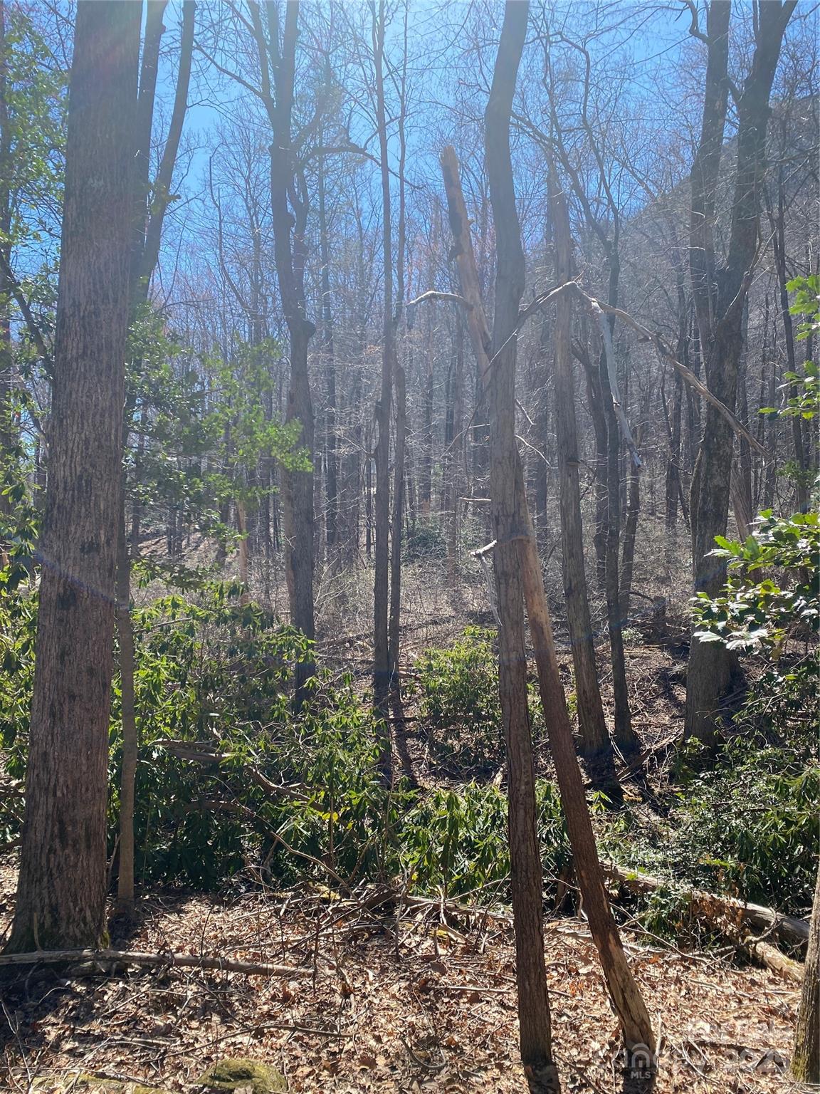 0000 Raleigh Drive Lake Lure NC 28761