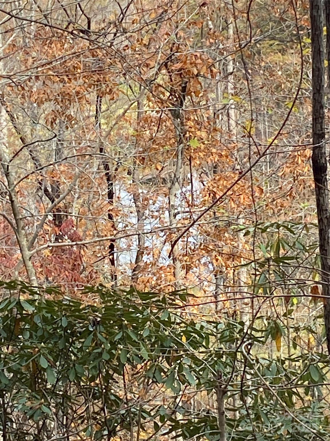 0000 Raleigh Drive Lake Lure NC 28761
