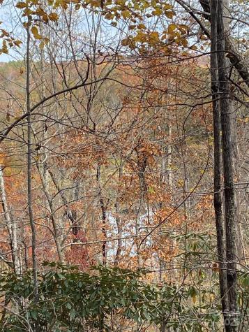 0000 Raleigh Drive Lake Lure NC 28761