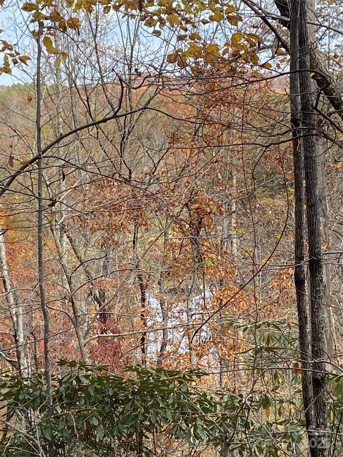 0000 Raleigh Drive Lake Lure NC 28761