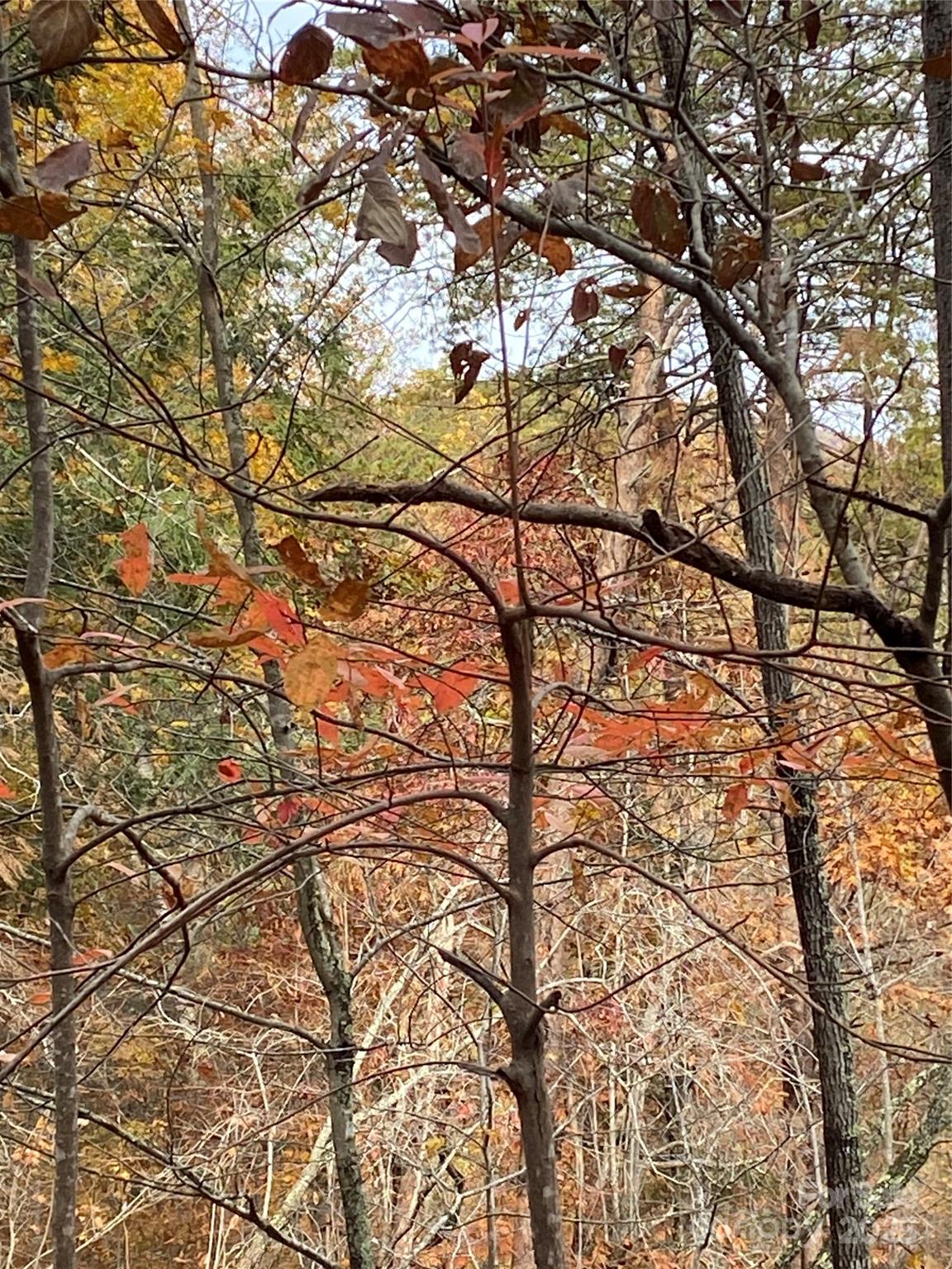 0000 Raleigh Drive Lake Lure NC 28761