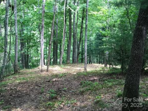 68 Fallsbrook Drive Tuckasegee NC 28783