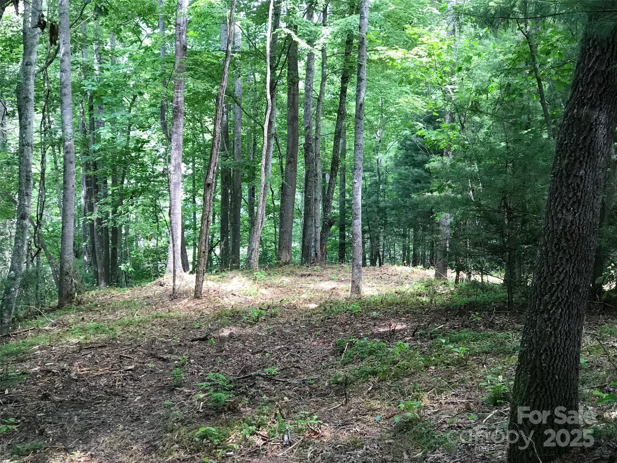 68 Fallsbrook Drive Tuckasegee NC 28783