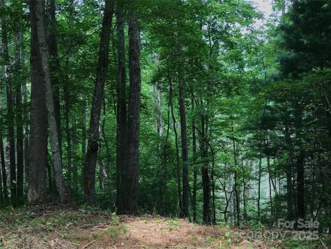 68 Fallsbrook Drive Tuckasegee NC 28783