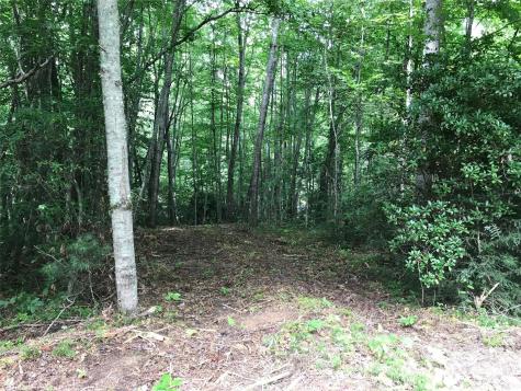 68 Fallsbrook Drive Tuckasegee NC 28783