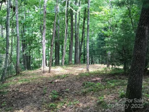 68 Fallsbrook Drive Tuckasegee NC 28783