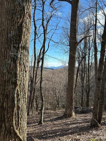 Lot 32 Strawberry Ridge Road Little Switzerland NC 28749