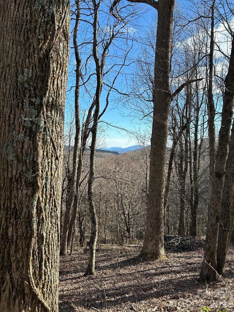 Lot 32 Strawberry Ridge Road Little Switzerland NC 28749