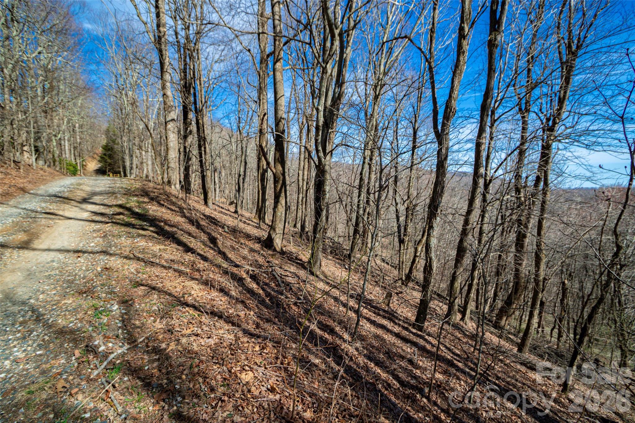Lot 32 Strawberry Ridge Road Little Switzerland NC 28749