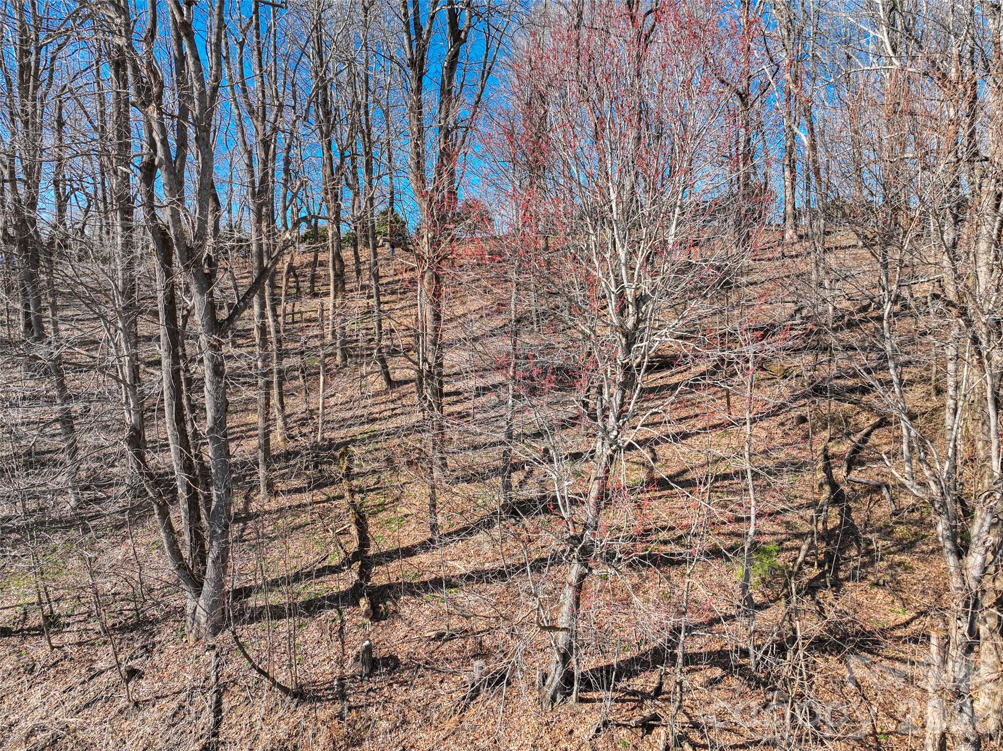 Lot 32 Strawberry Ridge Road Little Switzerland NC 28749