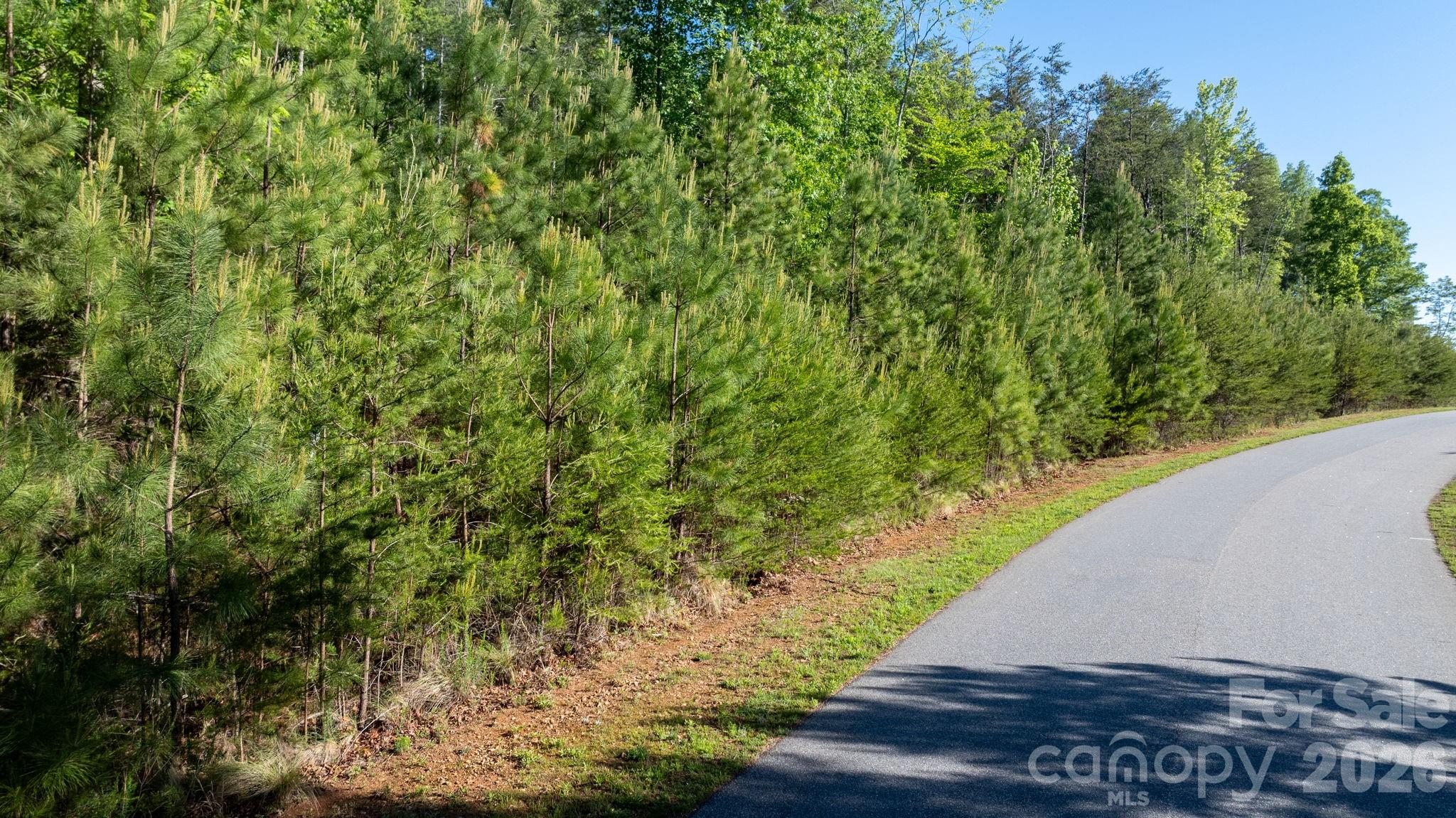 3030 Channel View Cove Morganton NC 28655