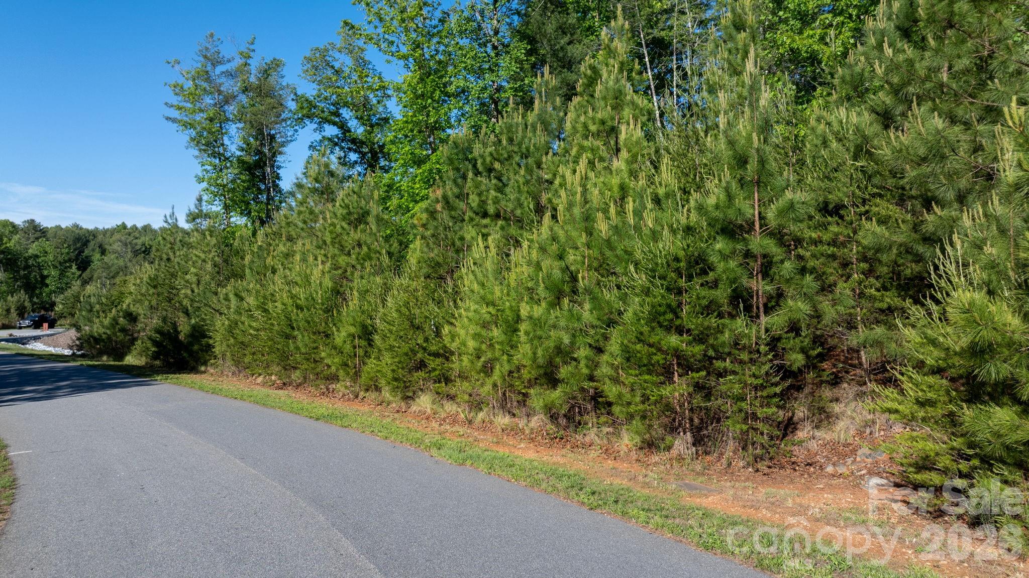3030 Channel View Cove Morganton NC 28655