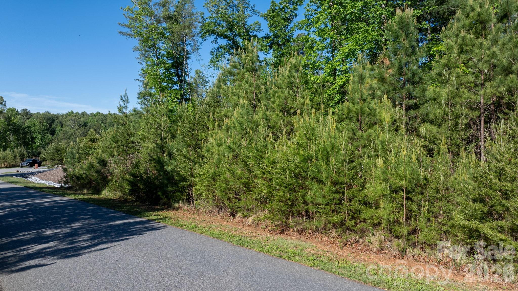 3030 Channel View Cove Morganton NC 28655