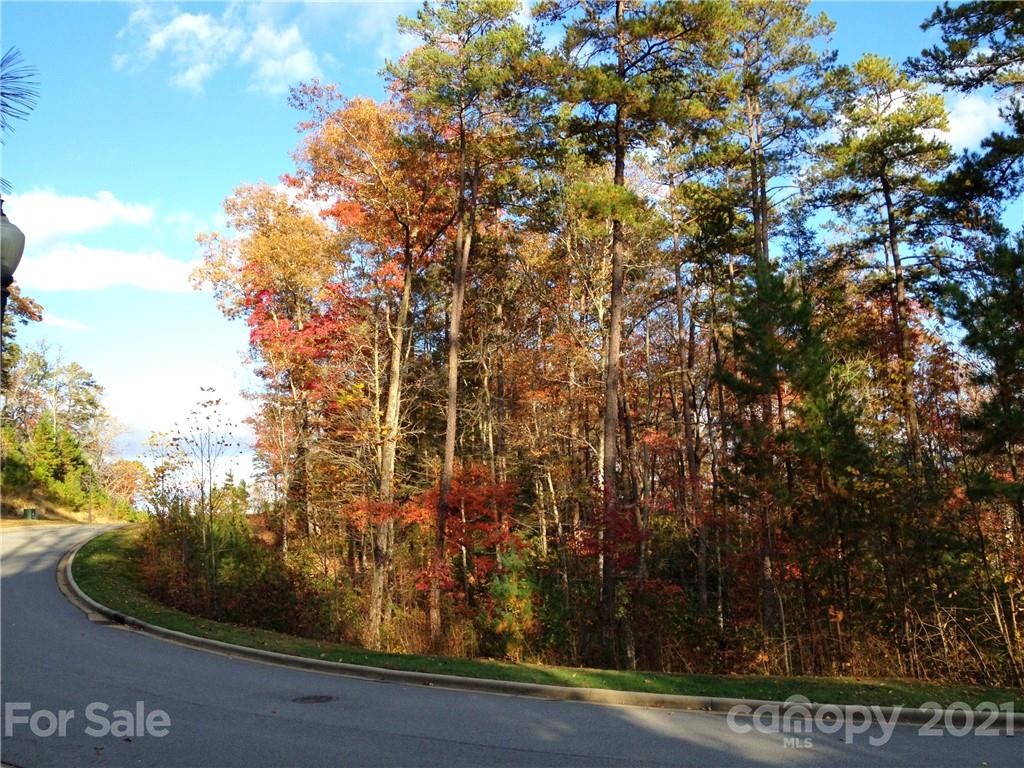 Upper Camptown Road Brevard NC 28712