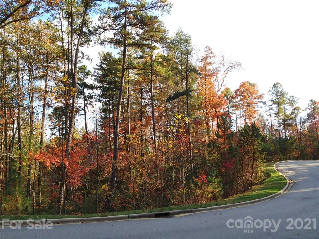 Upper Camptown Road Brevard NC 28712