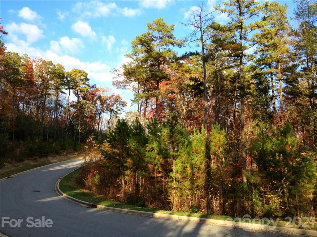 Upper Camptown Road Brevard NC 28712