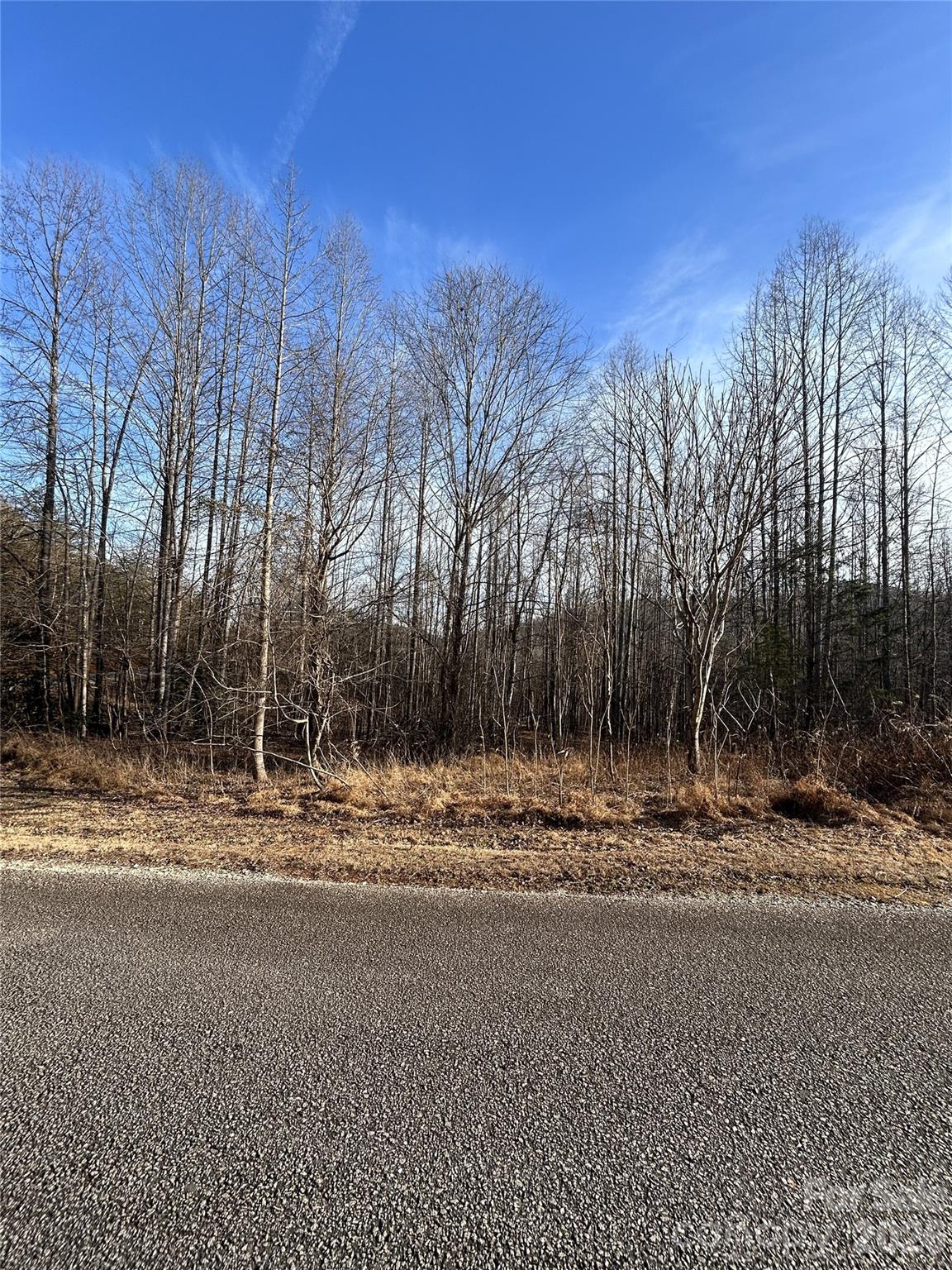 147 Double Eagle Drive Nebo NC 28761