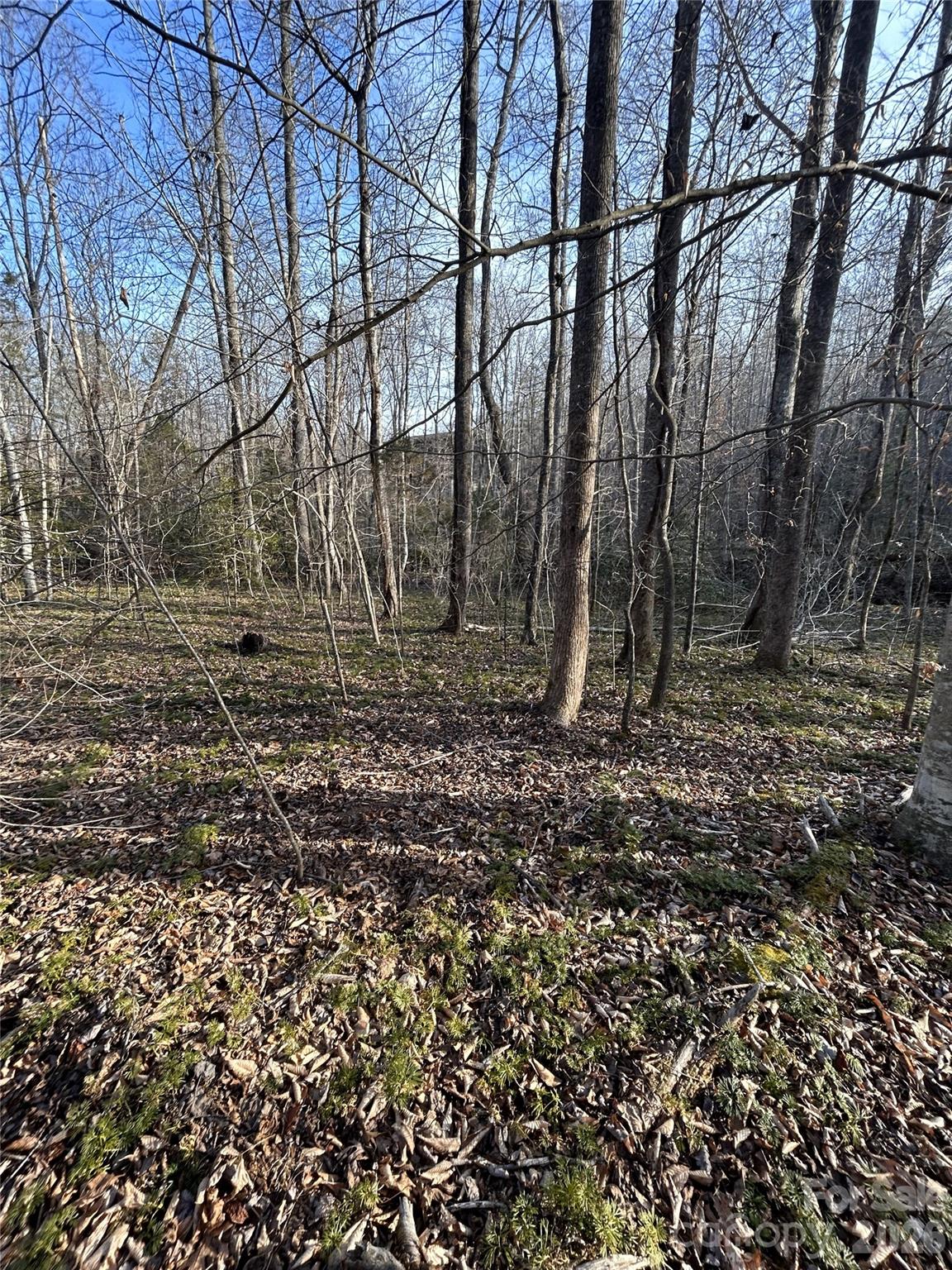 147 Double Eagle Drive Nebo NC 28761