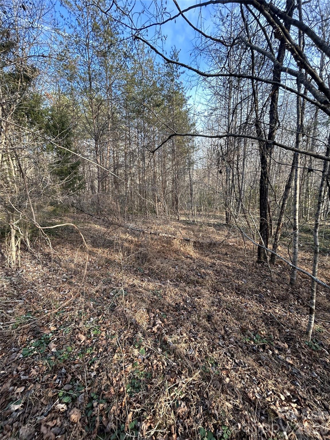 147 Double Eagle Drive Nebo NC 28761