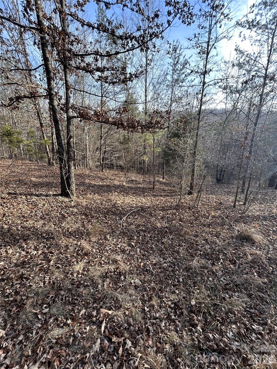 147 Double Eagle Drive Nebo NC 28761