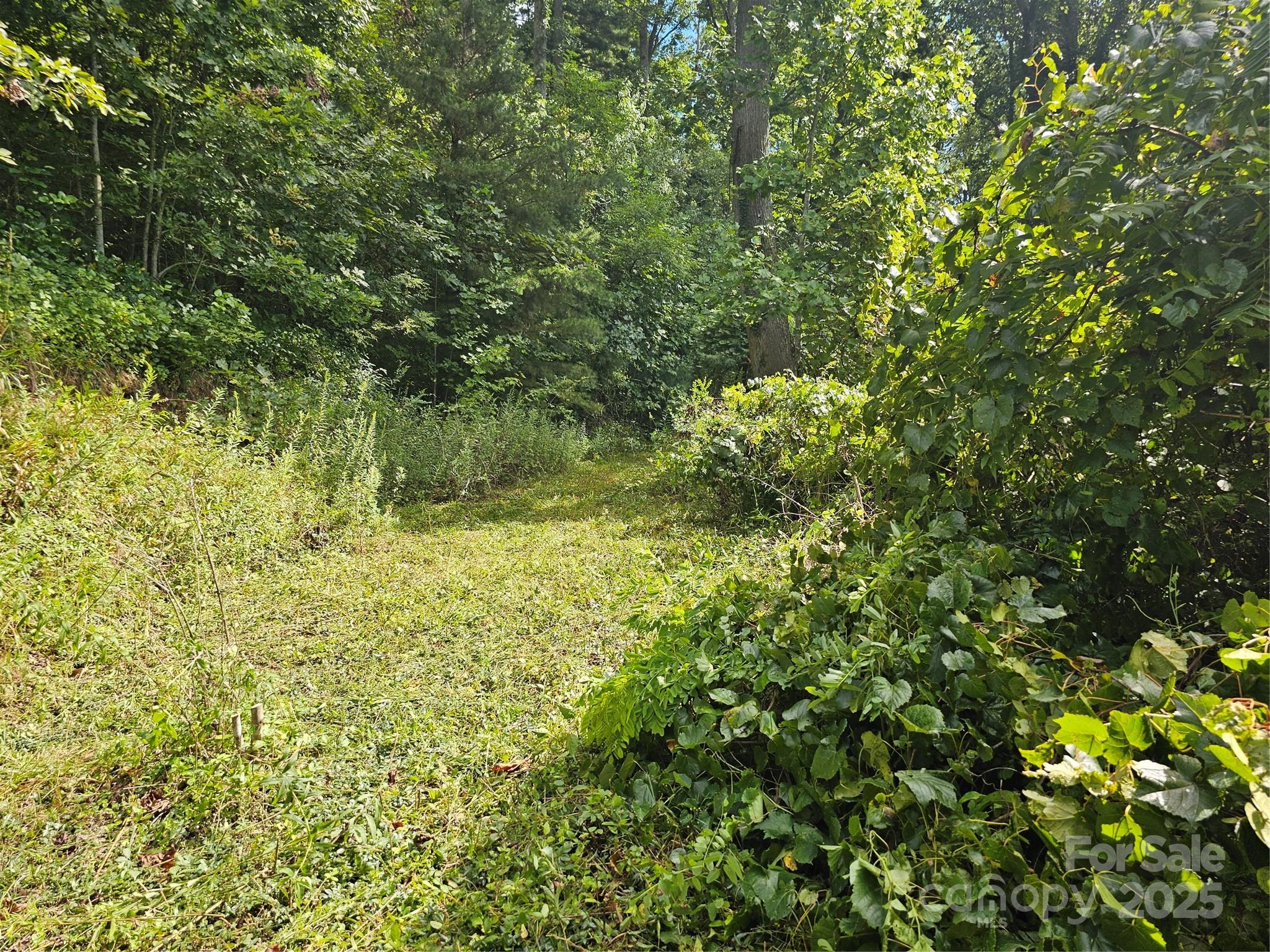 97 Destination Drive Asheville NC 28806