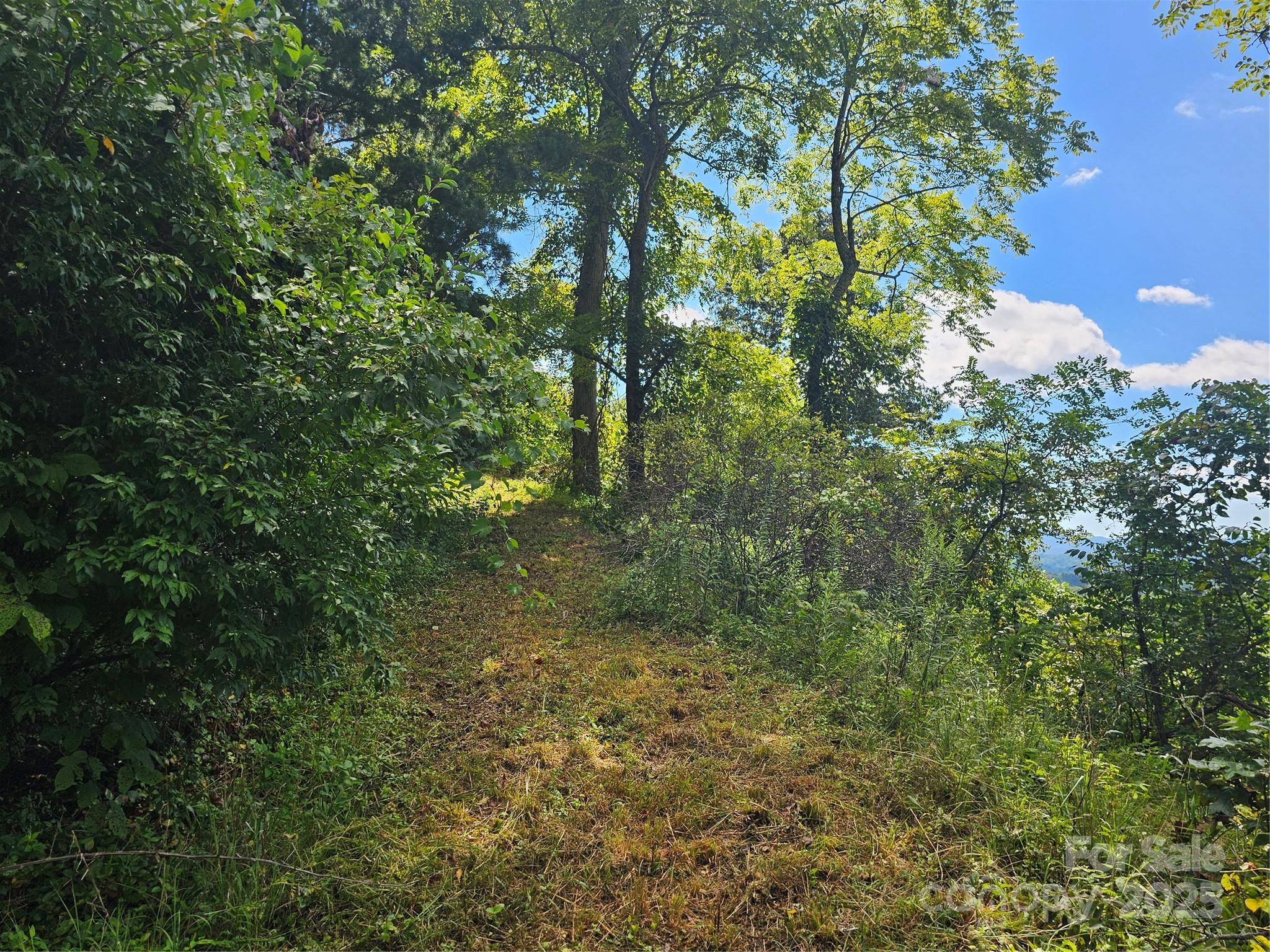 97 Destination Drive Asheville NC 28806