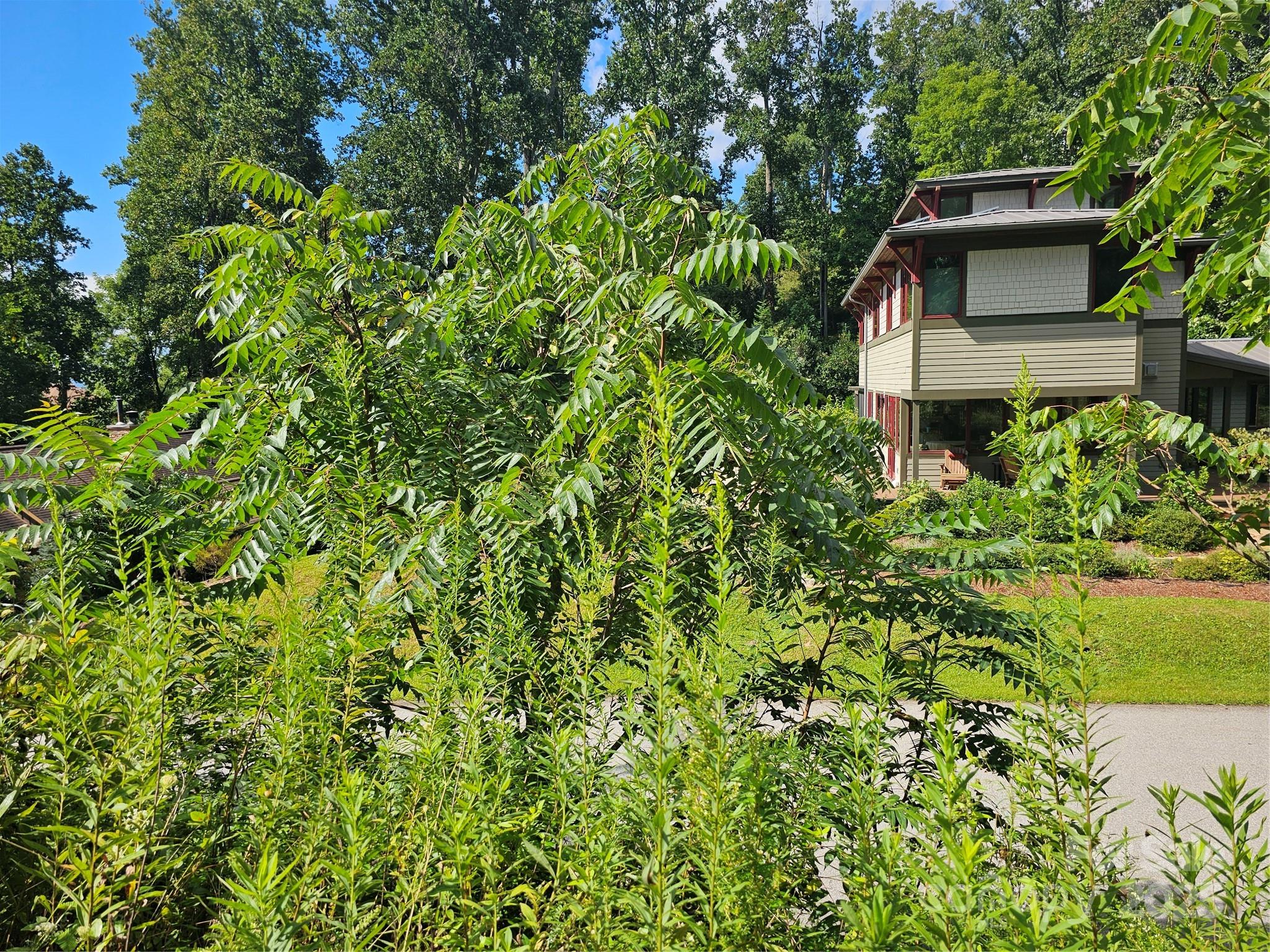 97 Destination Drive Asheville NC 28806